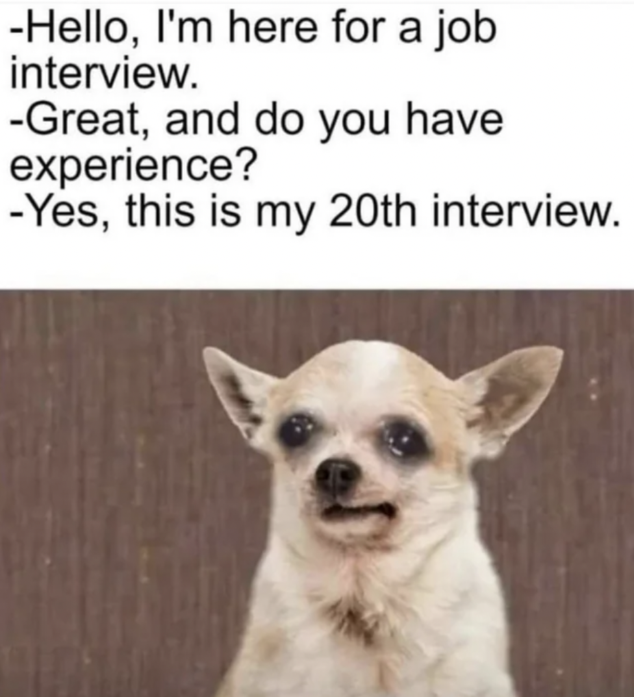 Meme - Hello, I'm here for a job interview. Great, and do you have experience? Yes, this is my 20th interview.