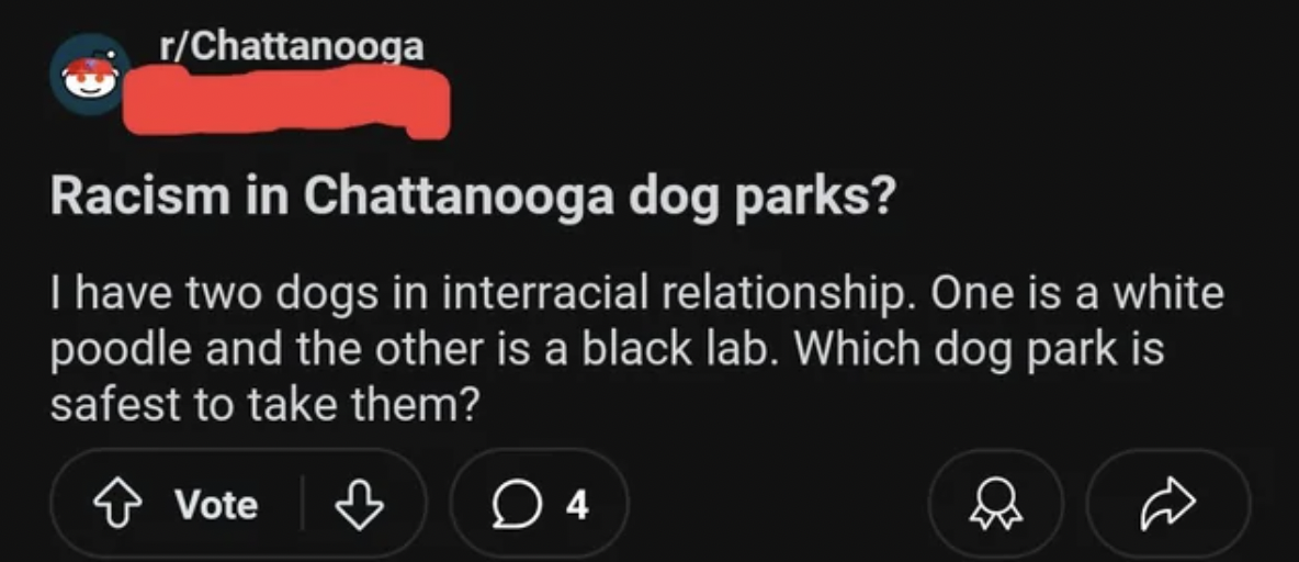 screenshot - rChattanooga Racism in Chattanooga dog parks? I have two dogs in interracial relationship. One is a white poodle and the other is a black lab. Which dog park is safest to take them? Vote 4