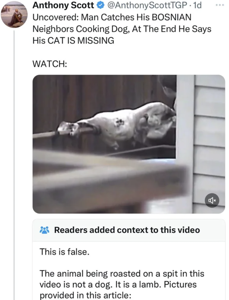 screenshot - Anthony Scott . 1d Uncovered Man Catches His Bosnian Neighbors Cooking Dog, At The End He Says His Cat Is Missing Watch Readers added context to this video This is false. The animal being roasted on a spit in this video is not a dog. It is a 