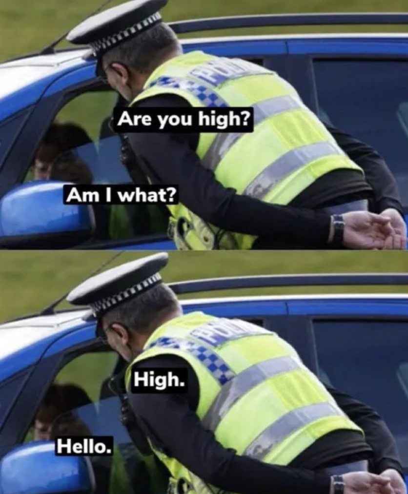 Internet meme - Are you high? Am I what? Hello. High.