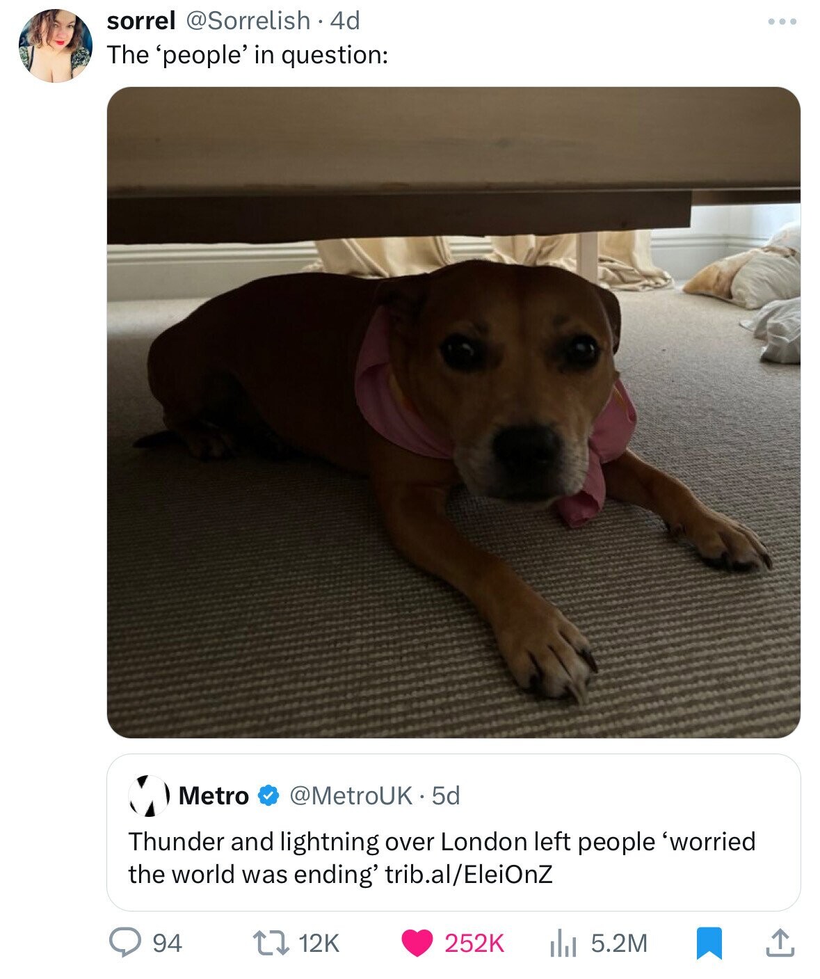 companion dog - sorrel 4d The 'people' in question Metro 5d Thunder and lightning over London left people worried the world was ending' trib.alEleiOnZ 94 t 12K 5.2M