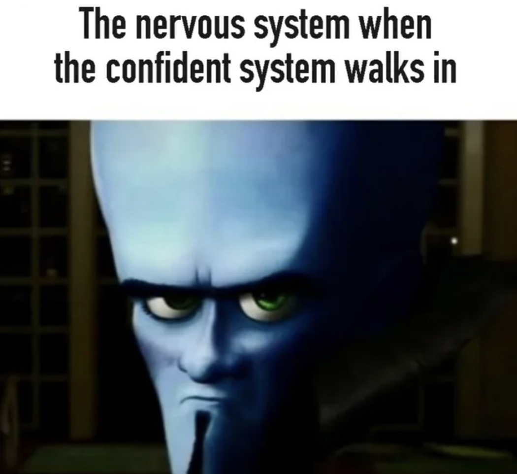 Nervous system - The nervous system when the confident system walks in