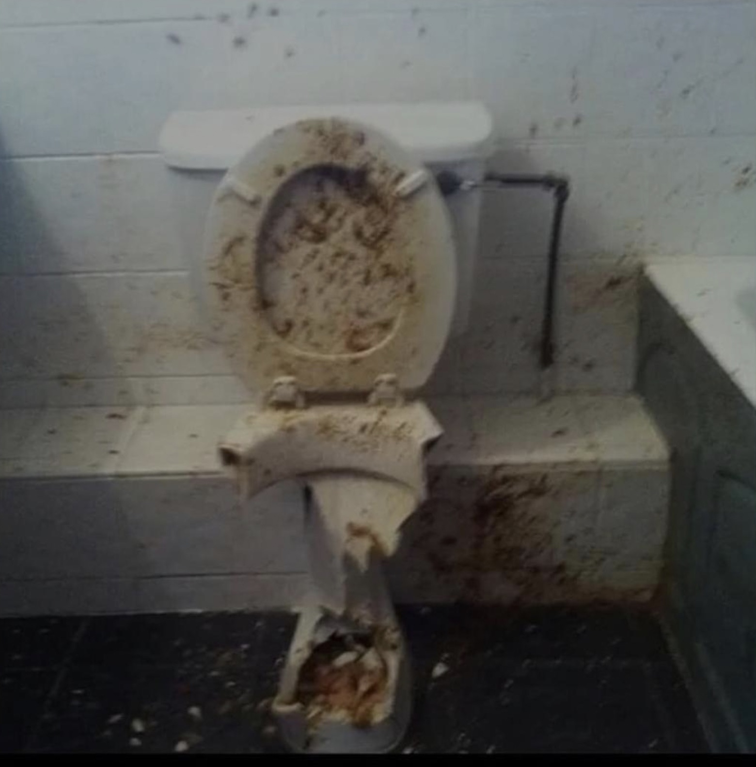 explosive diarrhea