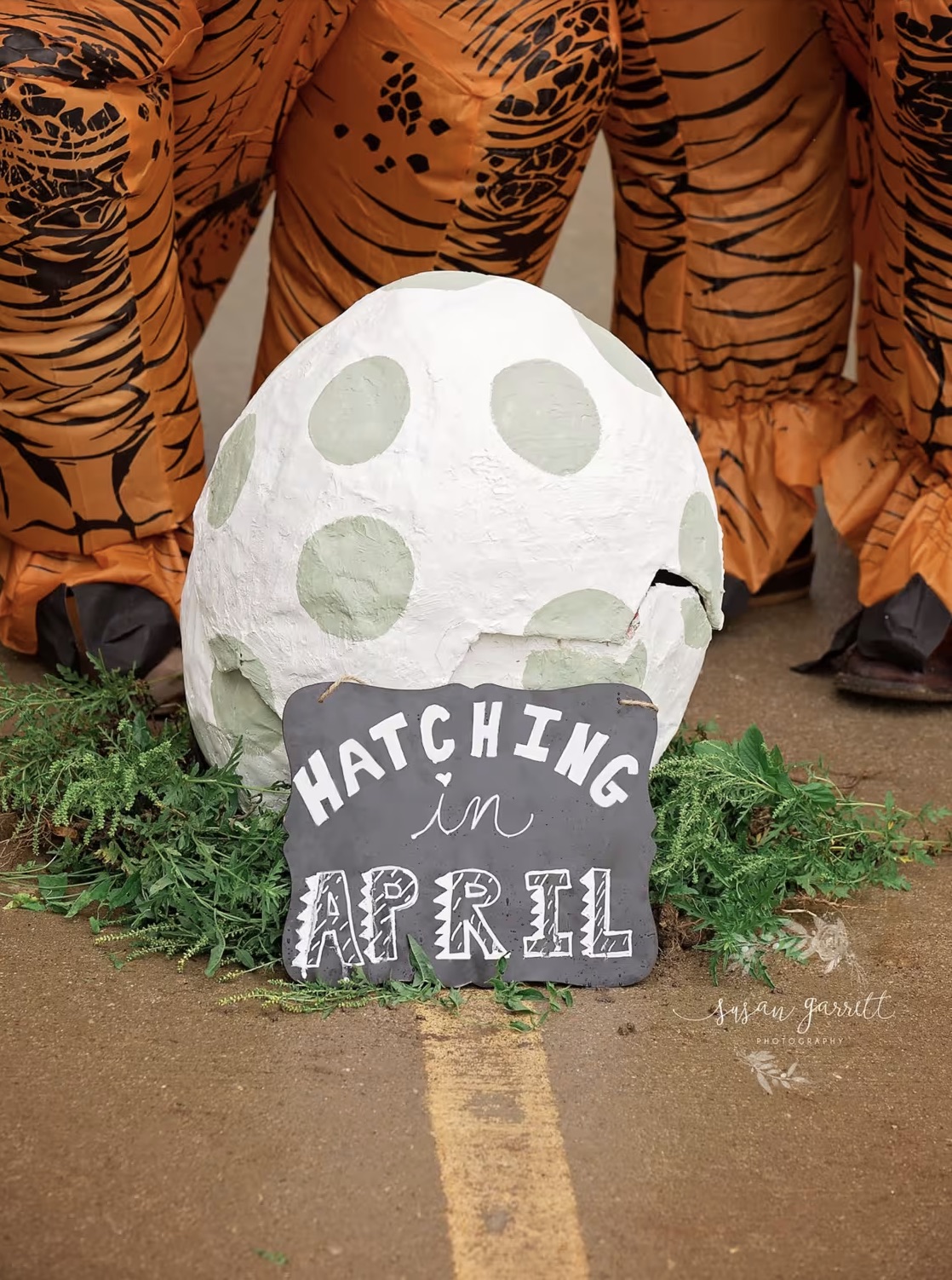 dinosaur baby announcement - Hatching April Swan Jarritt