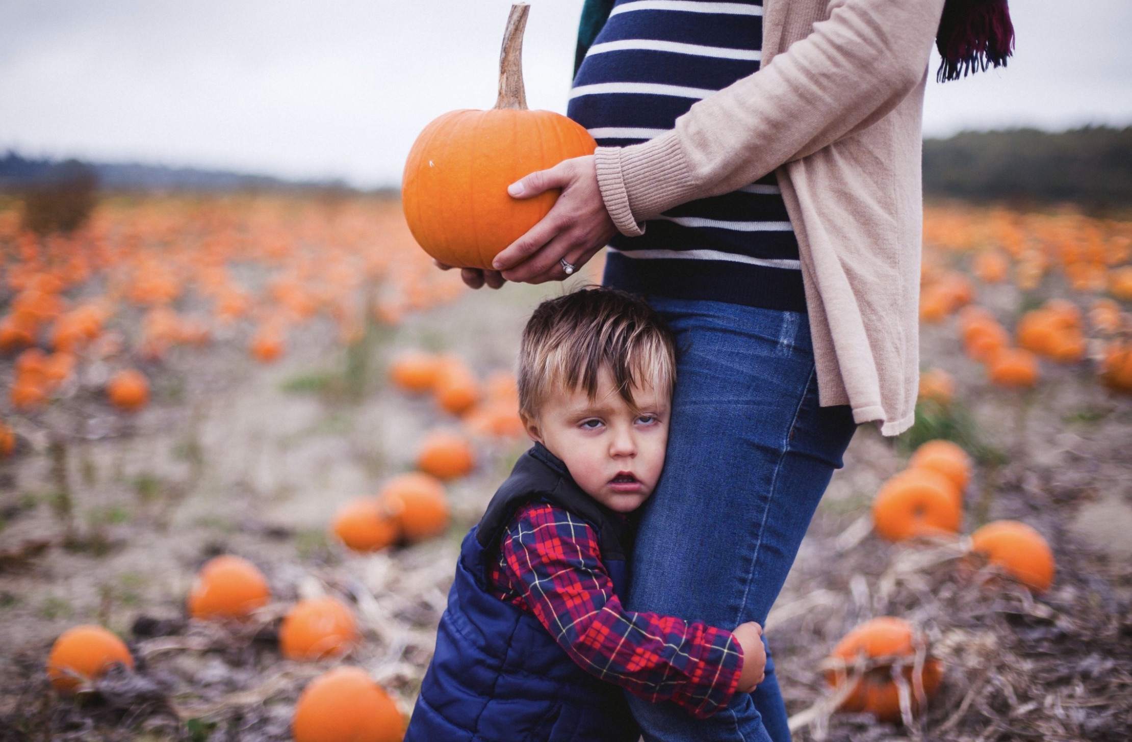 jack-o'-lantern