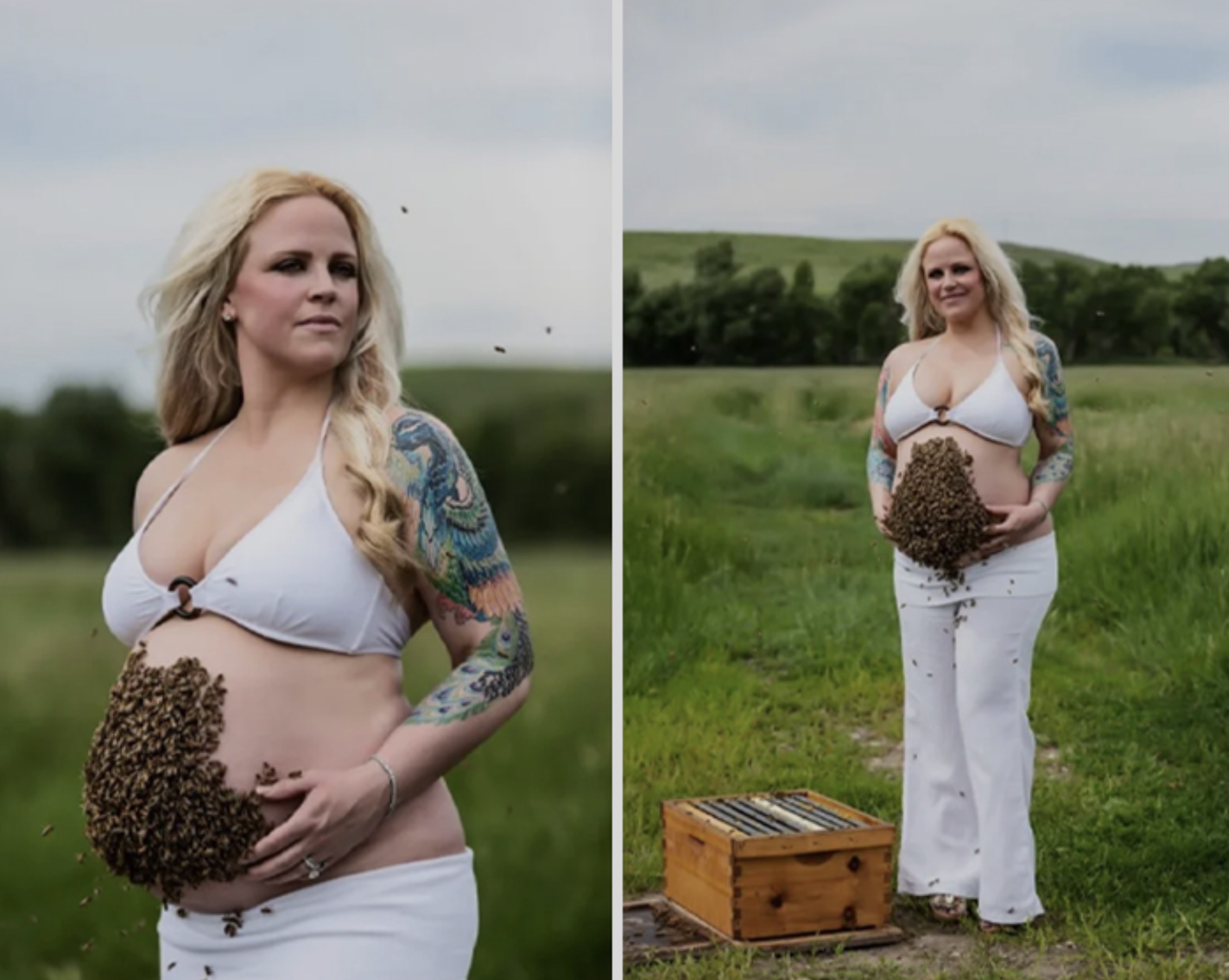 bee pregnancy photoshoot