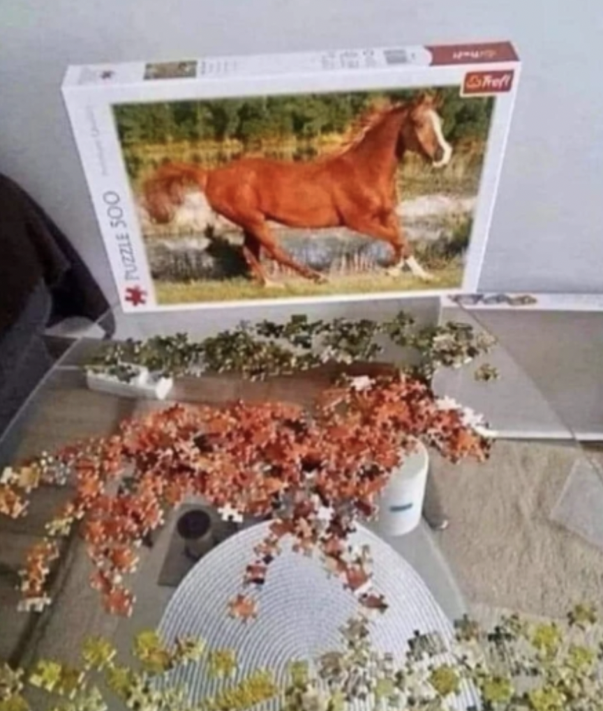 horse puzzle funny - Puzzle 500