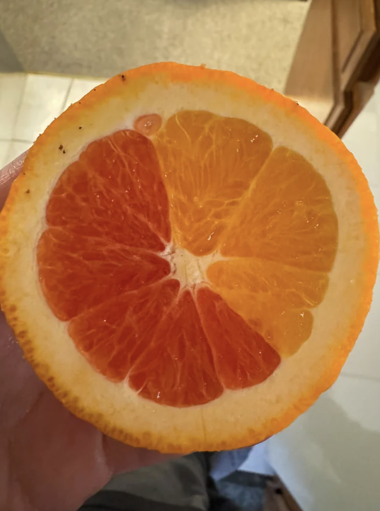 tangerine