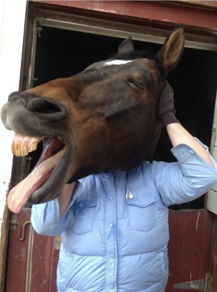 man with horses head