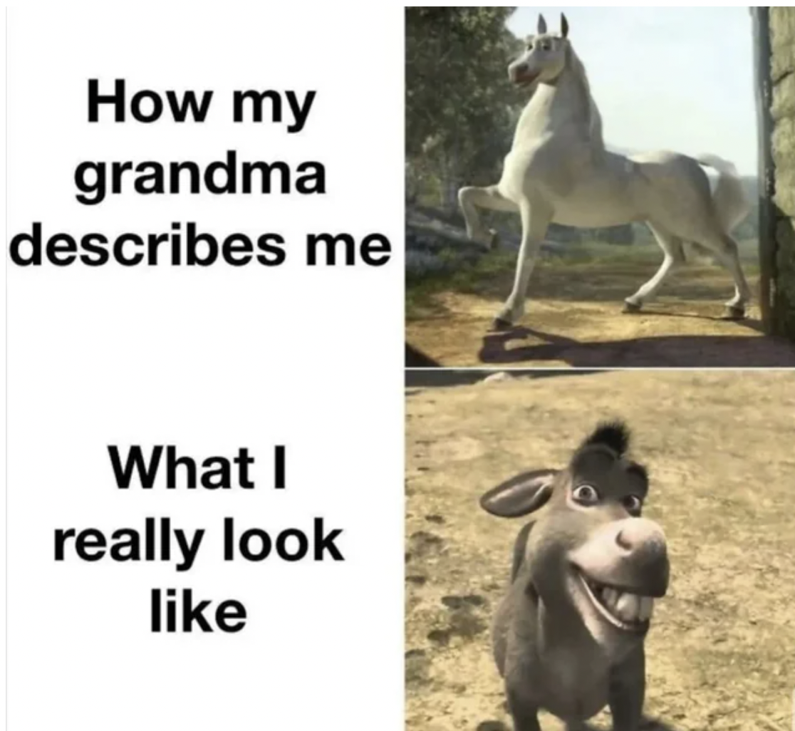 donkey shrek memes - How my grandma describes me What I really look