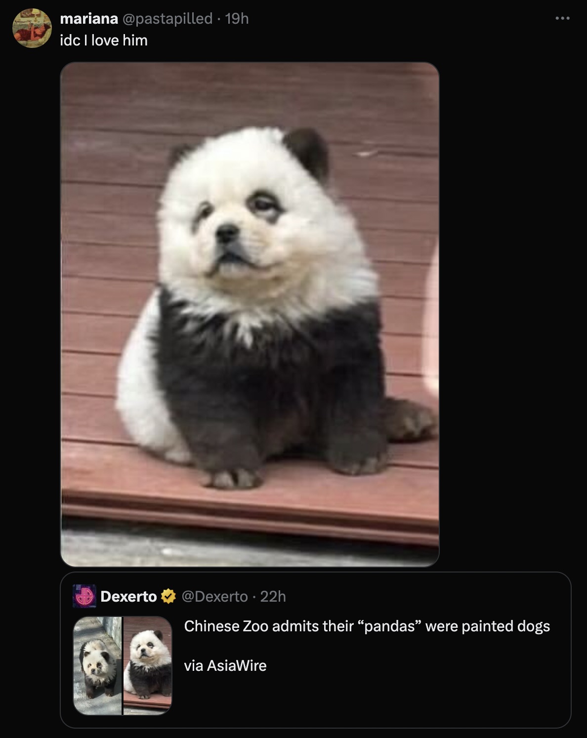 pomeranian - mariana 19h idc I love him Dexerto . 22h Chinese Zoo admits their "pandas were painted dogs via AsiaWire