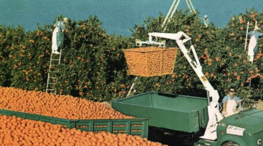 orange picker florida machines