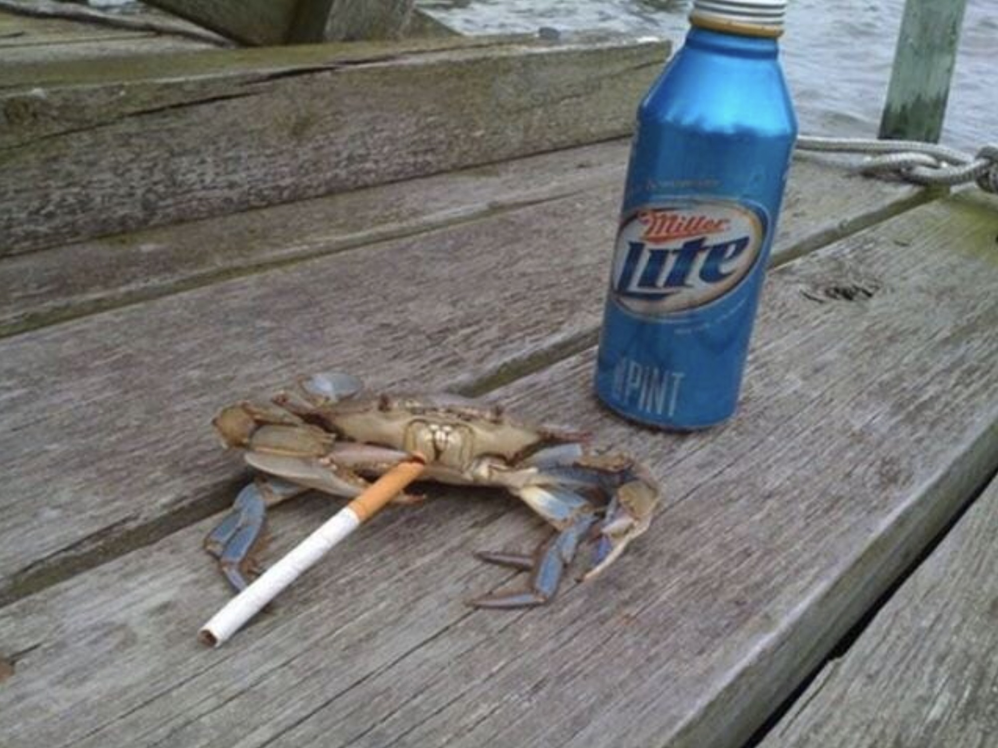 crab smoke