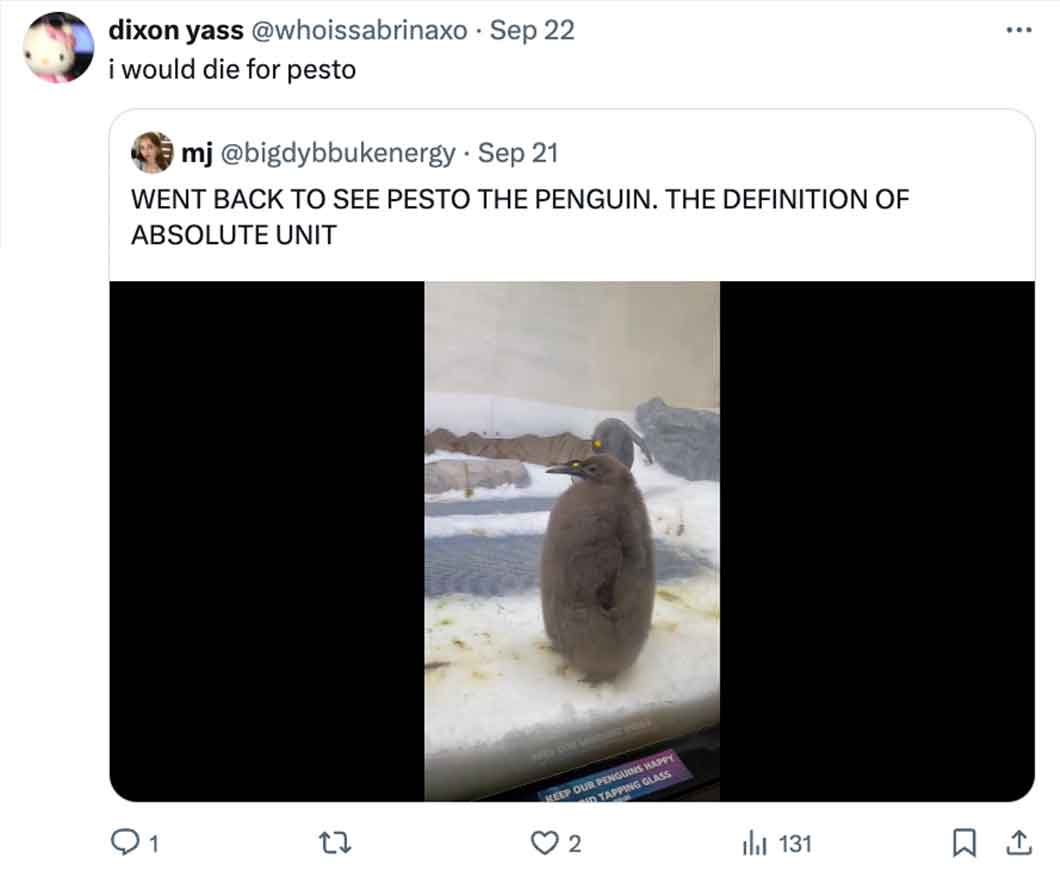 pesto penguin - screenshot - . dixon yass Sep 22 i would die for pesto mj Sep 21 Went Back To See Pesto The Penguin. The Definition Of Absolute Unit 1 Keep Our Penguins Happy Tapping Glass 2 B tl 131 1