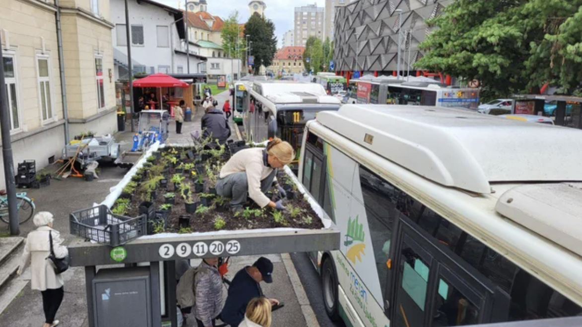 Mini gardens on top of bus stops in Ljubljana, Slovenia.