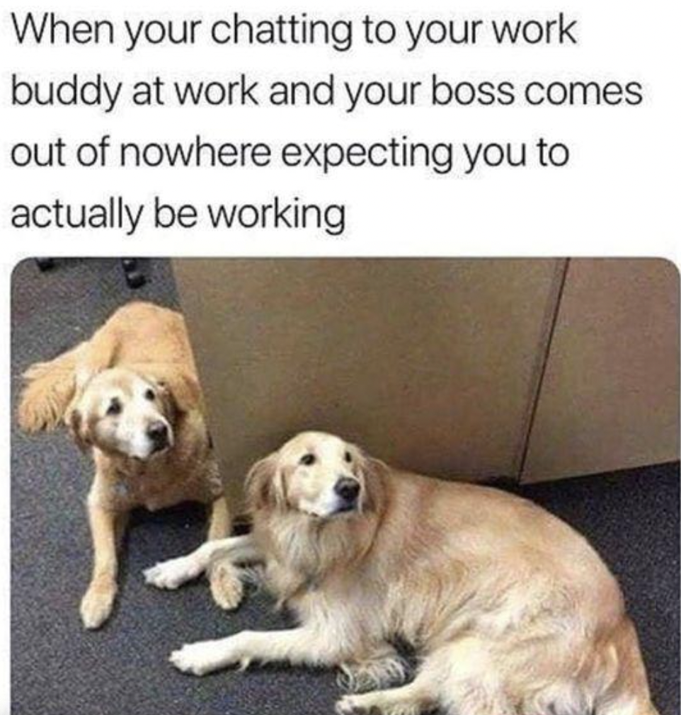 positive work memes funny - When your chatting to your work buddy at work and your boss comes out of nowhere expecting you to actually be working