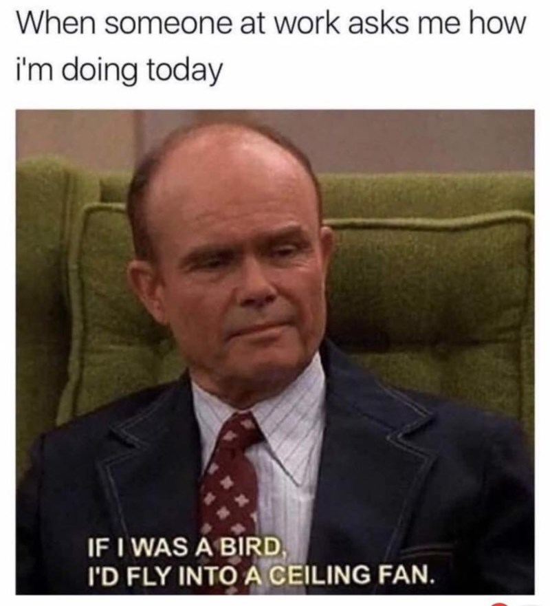 funny work memes - When someone at work asks me how i'm doing today If I Was A Bird, I'D Fly Into A Ceiling Fan.