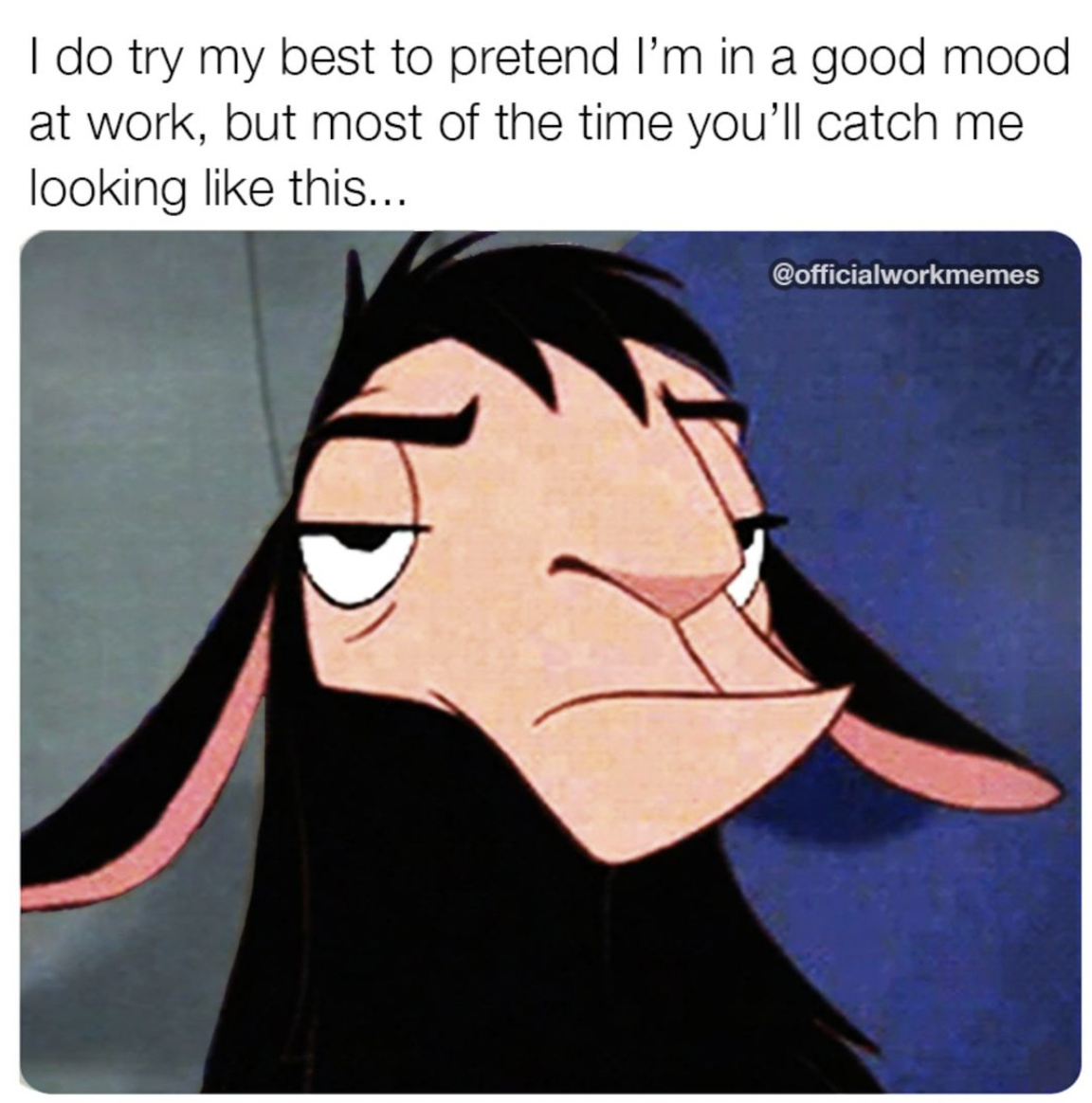 do you like most about your job meme - I do try my best to pretend I'm in a good mood at work, but most of the time you'll catch me looking this...