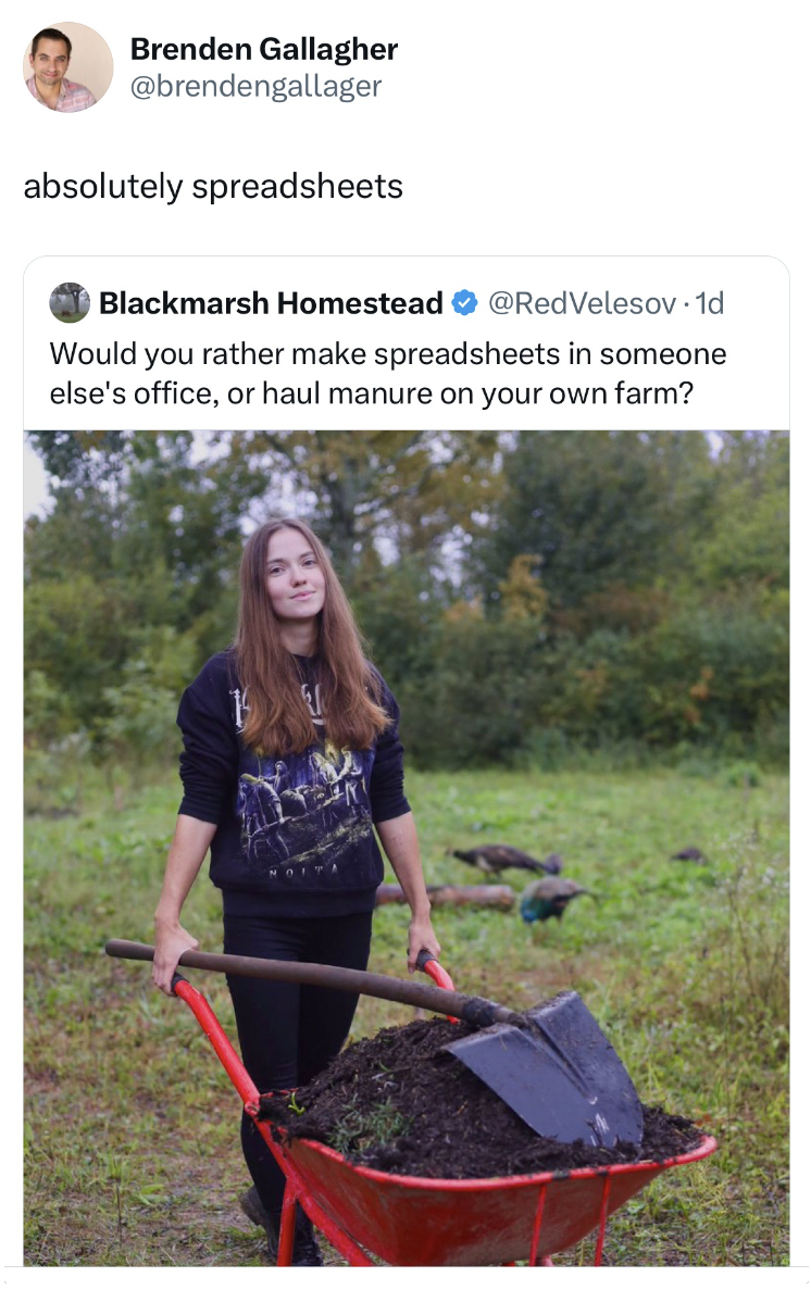 plantation - Brenden Gallagher absolutely spreadsheets Blackmarsh Homestead Would you rather make spreadsheets in someone else's office, or haul manure on your own farm?