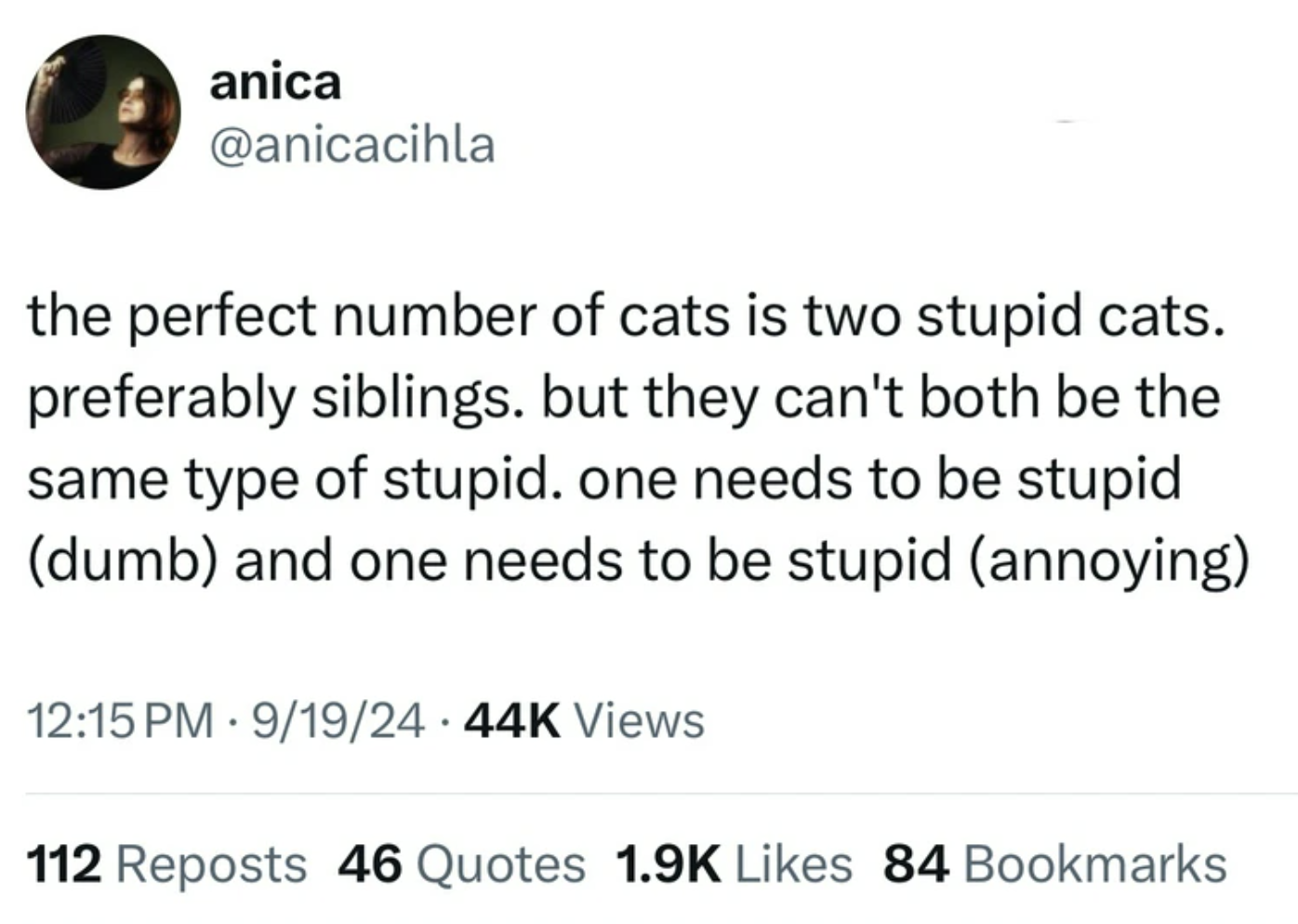 number - anica the perfect number of cats is two stupid cats. preferably siblings. but they can't both be the same type of stupid. one needs to be stupid dumb and one needs to be stupid annoying 919 Views 112 Reposts 46 Quotes 84 Bookmarks