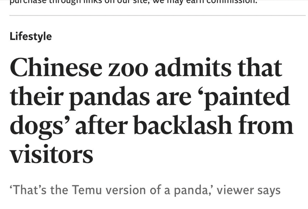 number - Lifestyle Chinese zoo admits that their pandas are 'painted dogs' after backlash from visitors 'That's the Temu version of a panda,' viewer says