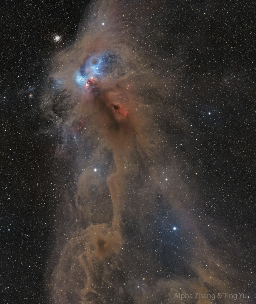 The Rampaging Baboon Nebula, (NGC 6727).