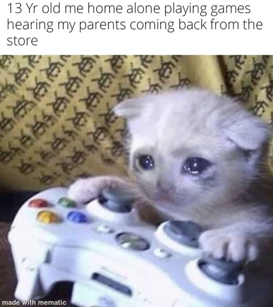 playing video games meme - 13 Yr old me home alone playing games hearing my parents coming back from the store made with mematic