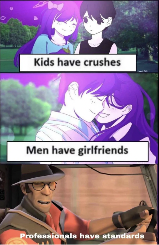 cartoon - Kids have crushes Men have girlfriends Professionals have standards