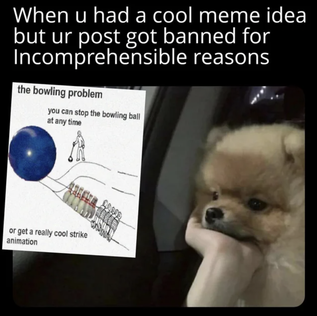 pomeranian - When u had a cool meme idea but ur post got banned for Incomprehensible reasons the bowling problem you can stop the bowling ball at any time or get a really cool strike animation