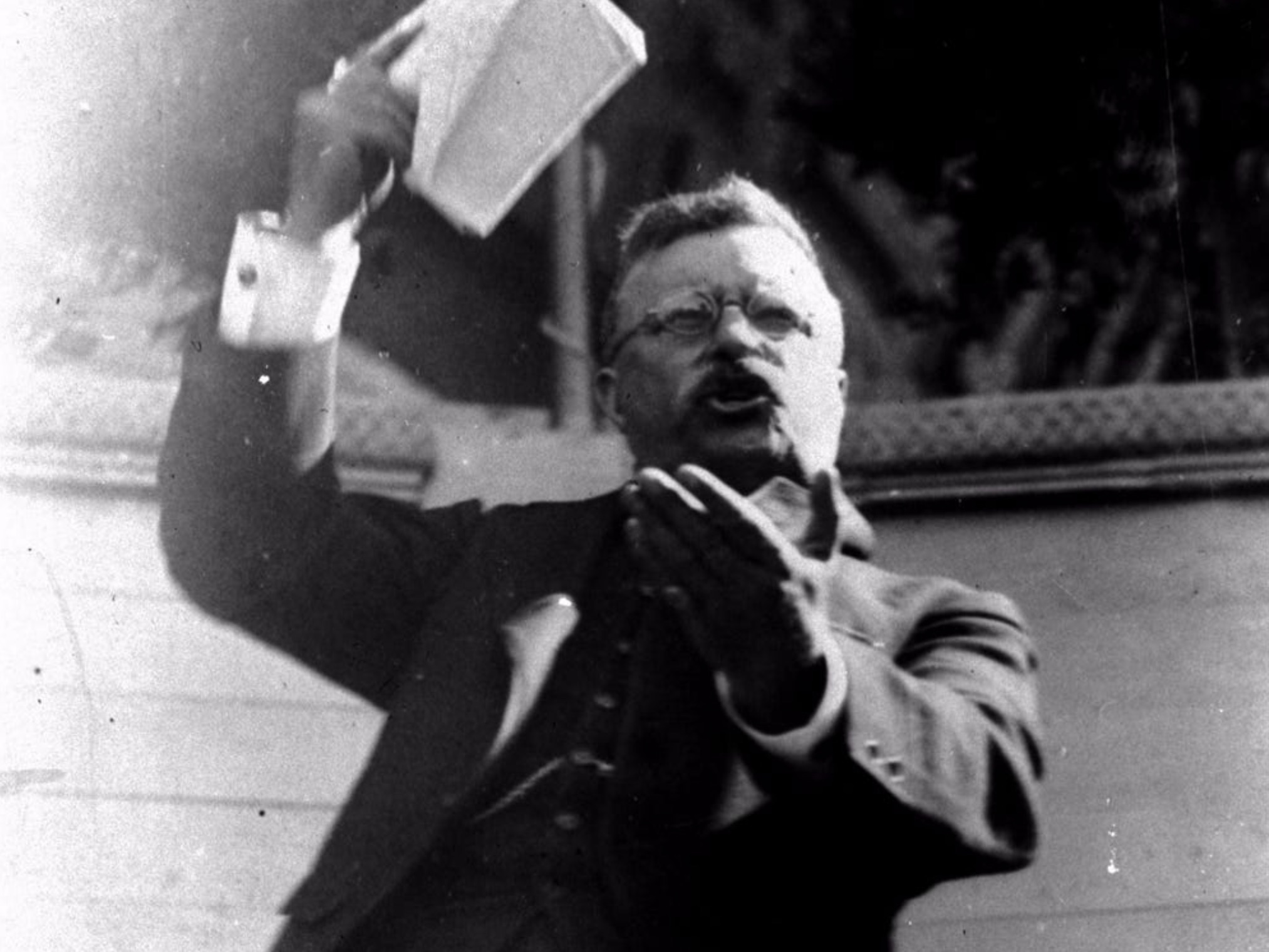 teddy roosevelt doing things