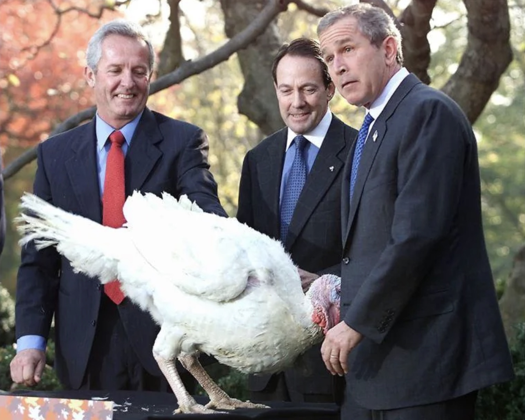 george bush turkey pardon