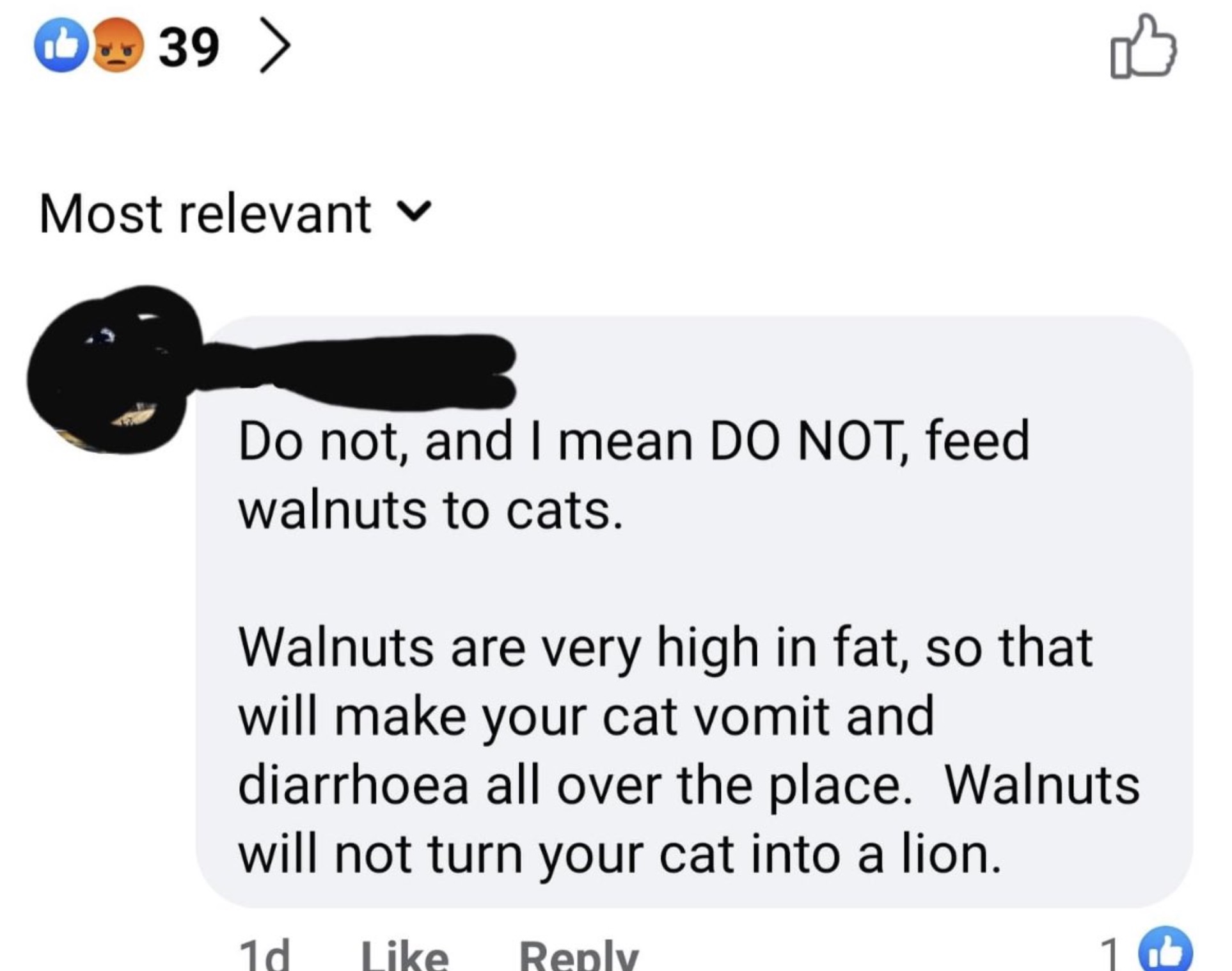 screenshot - 39 39 > Most relevant Do not, and I mean Do Not, feed walnuts to cats. Walnuts are very high in fat, so that will make your cat vomit and diarrhoea all over the place. Walnuts will not turn your cat into a lion. 1d