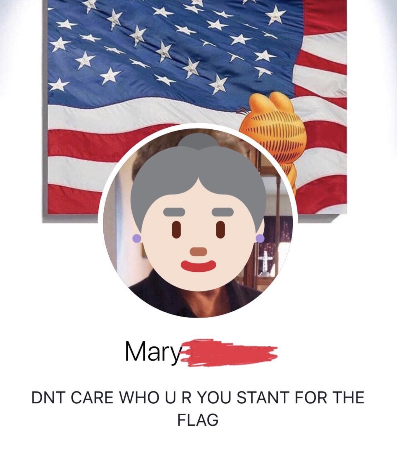 flag of the united states - t Mary Dnt Care Who Ur You Stant For The Flag