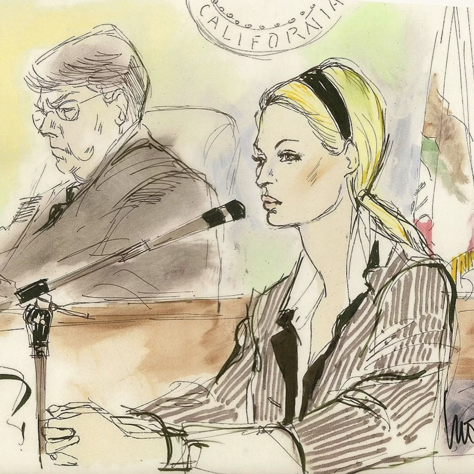 taylor swift court sketch