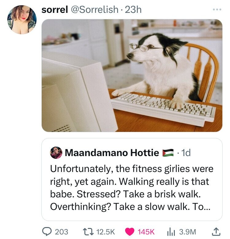 american curl - sorrel . 23h Maandamano Hottie 1d Unfortunately, the fitness girlies were right, yet again. Walking really is that babe. Stressed? Take a brisk walk. Overthinking? Take a slow walk. To... 203 l 3.9M