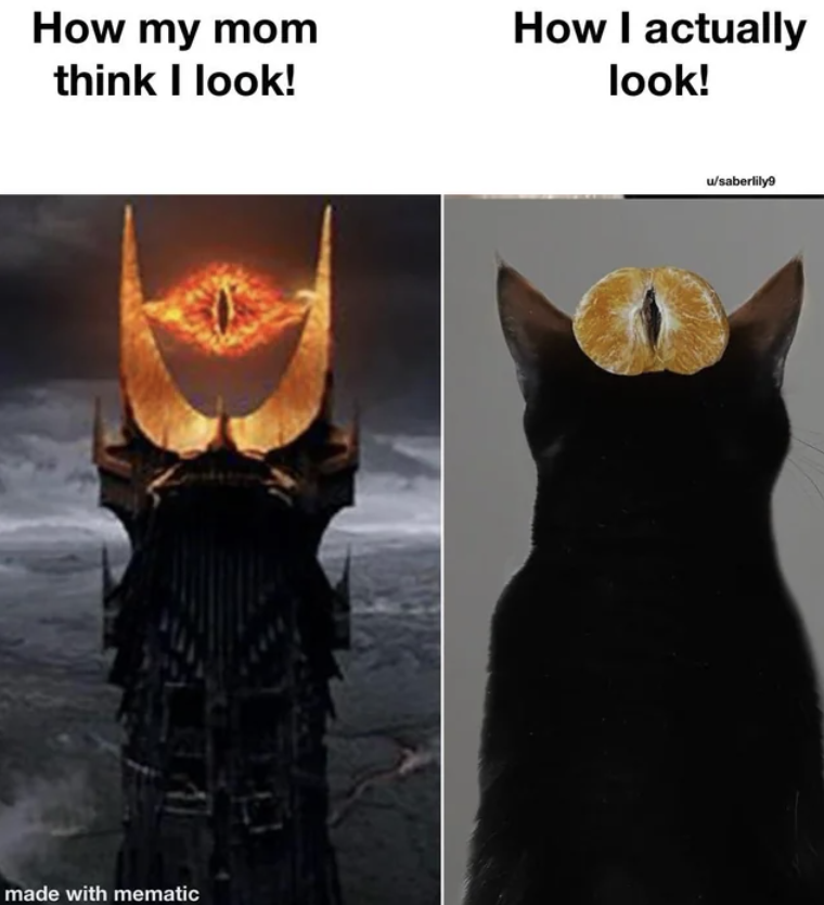 eye of sauron scene - How my mom think I look! How I actually look! made with mematic w'saberily