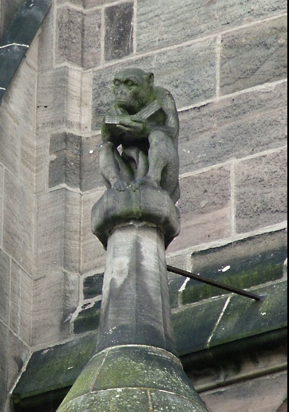 gargoyle