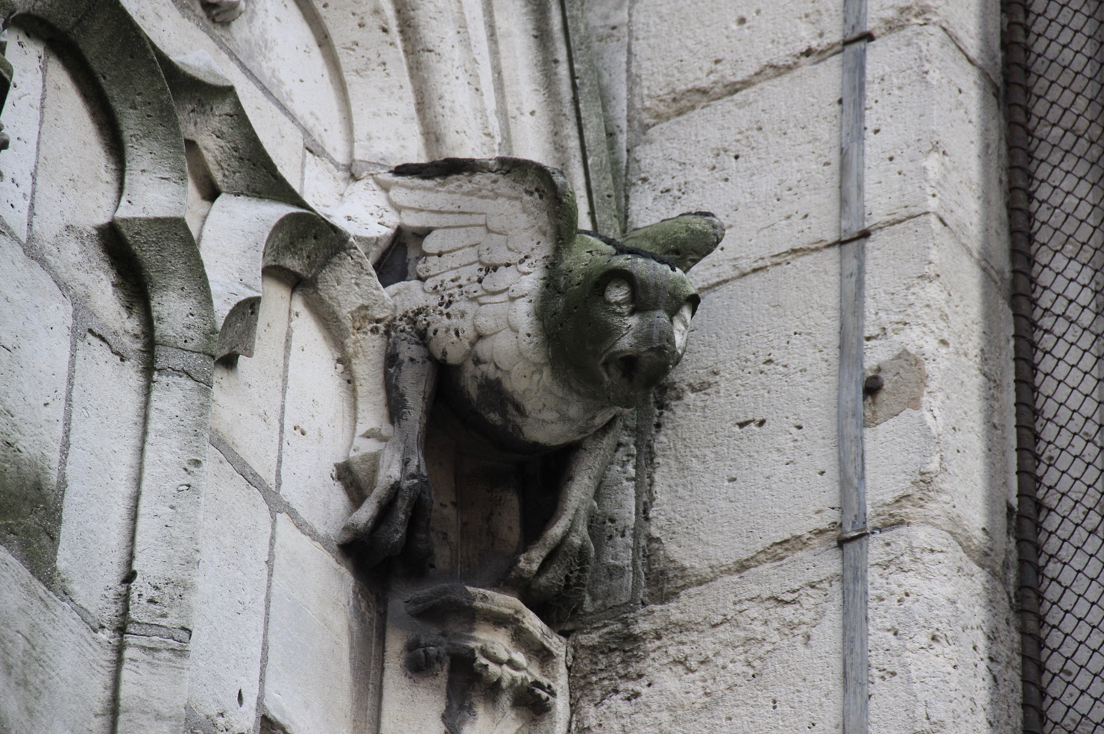 gargoyle