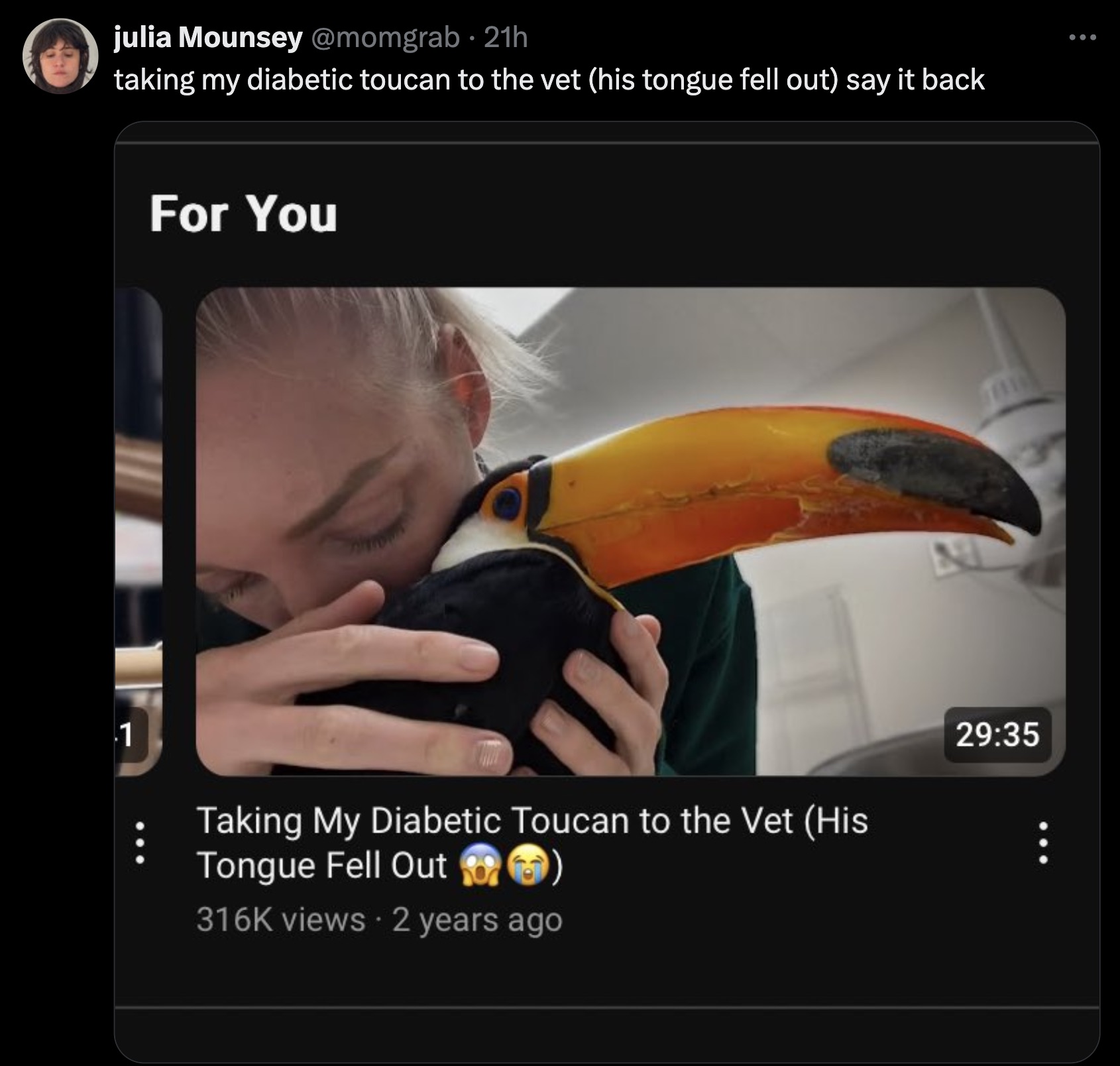 photo caption - julia Mounsey 21h taking my diabetic toucan to the vet his tongue fell out say it back For You 1 Taking My Diabetic Toucan to the Vet His Tongue Fell Out views 2 years ago