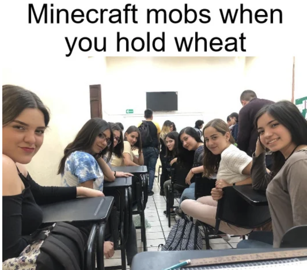 everyone staring at me - Minecraft mobs when you hold wheat