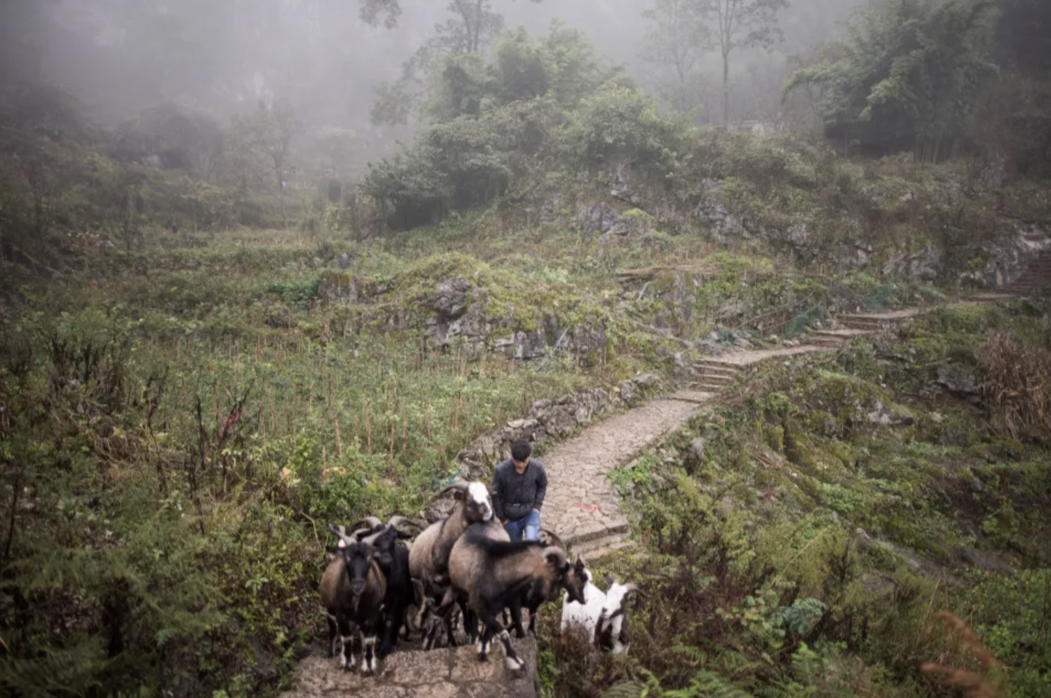 Locals grow their own crops to sell.