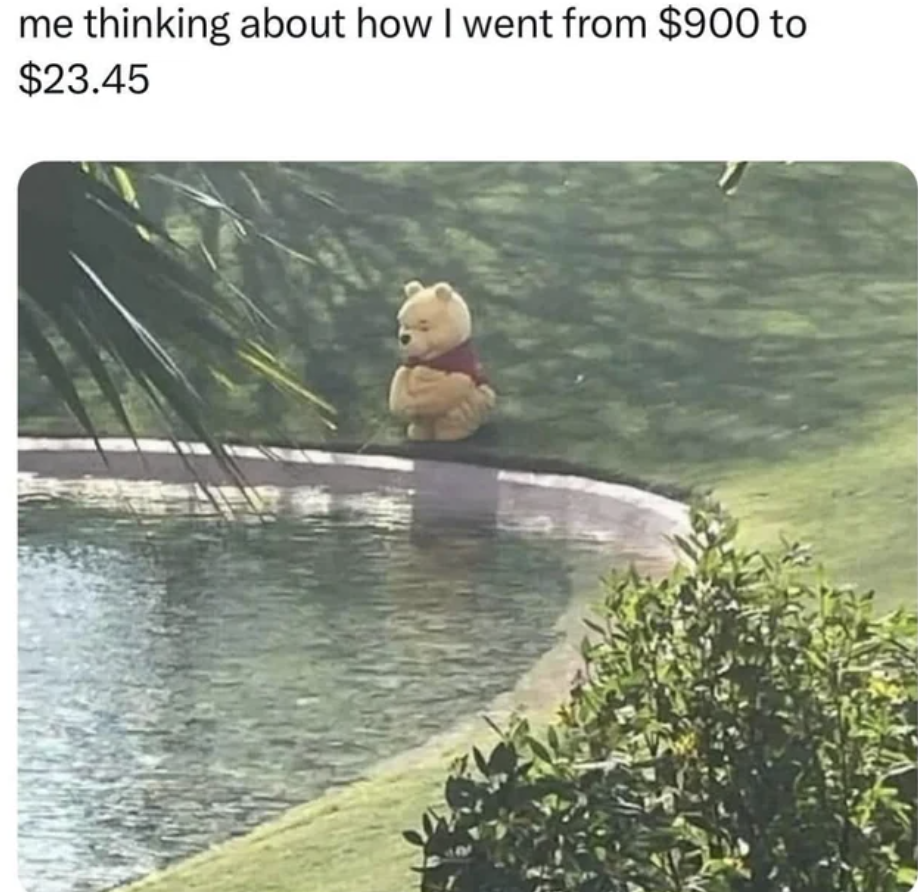 monday morning memes - me thinking about how I went from $900 to $23.45