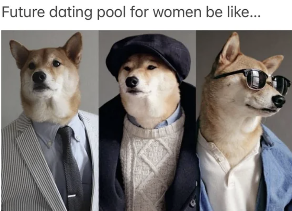 shiba inu - Future dating pool for women be ...