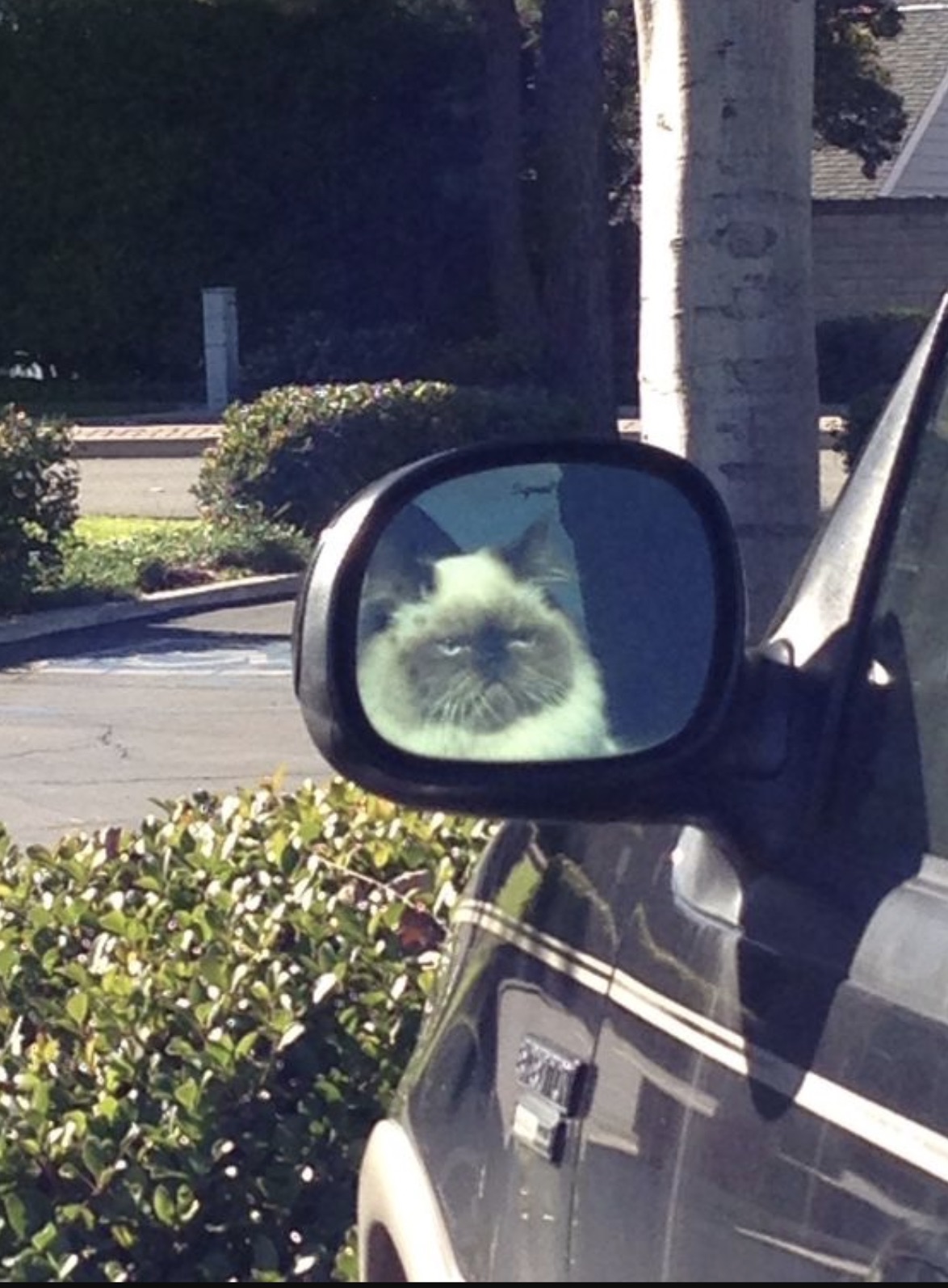 rear-view mirror