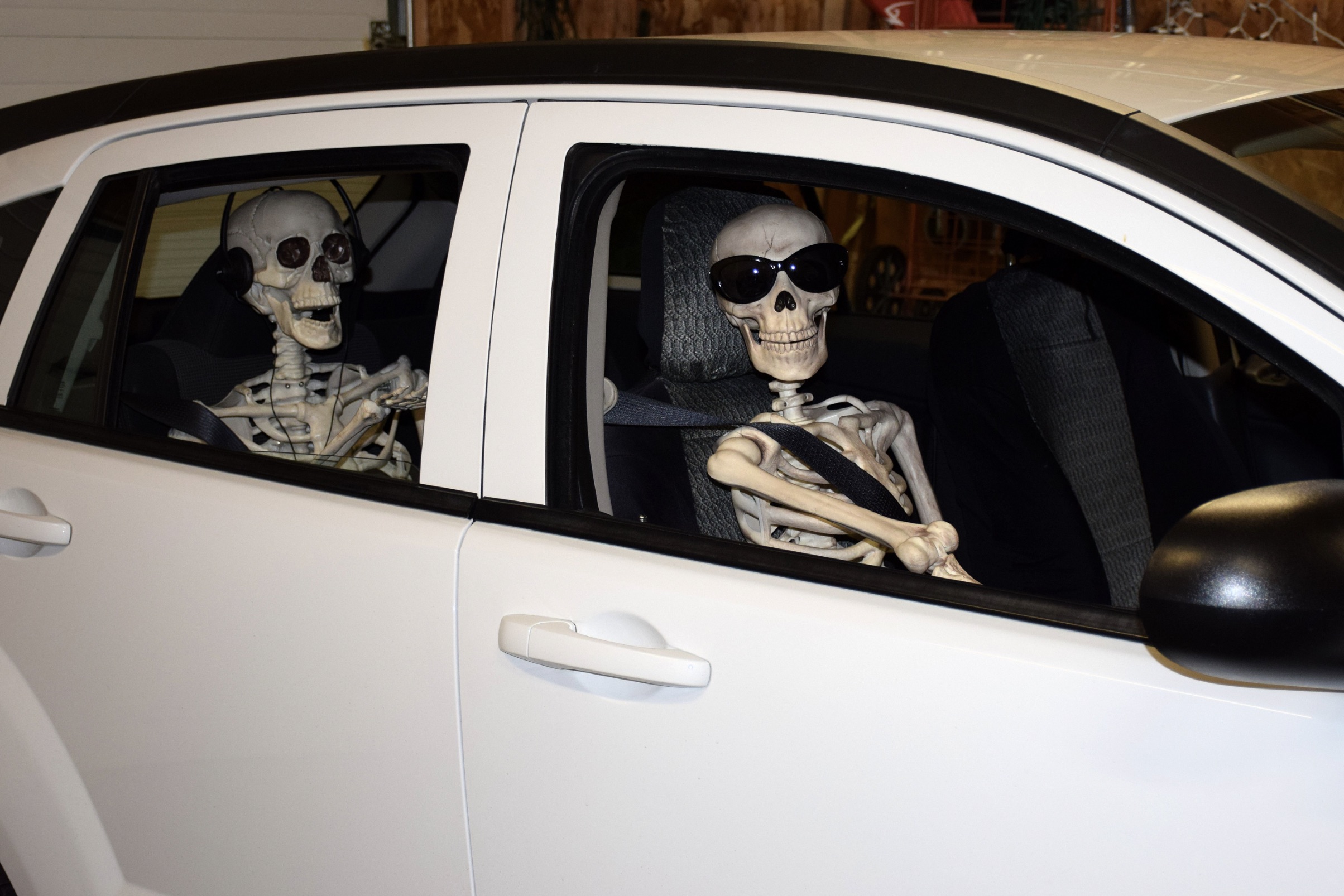 skeletons in car