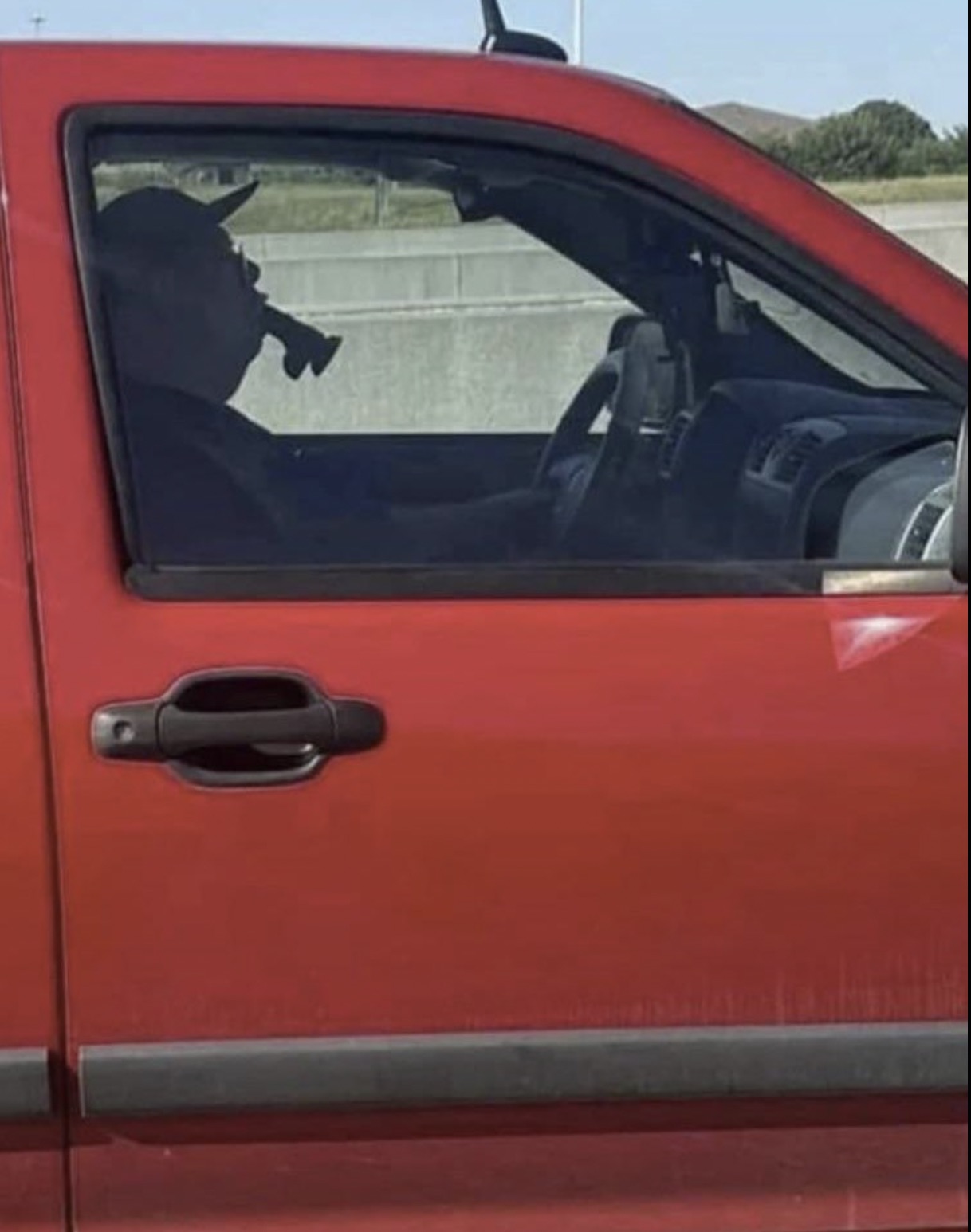 31 Disturbing Sights Seen from the Car Window