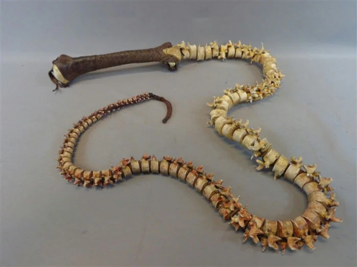 whip made out of spines -