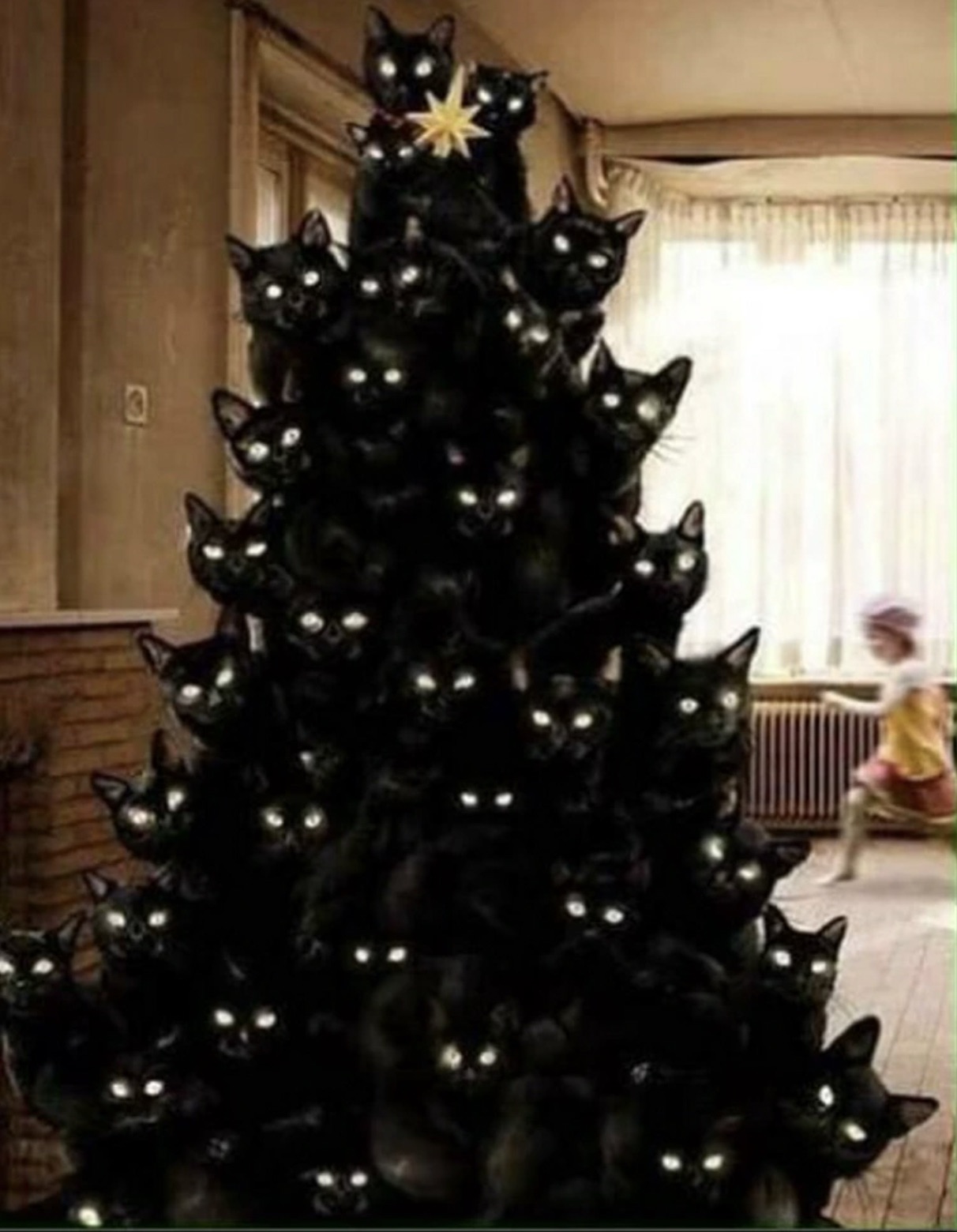 christmas tree cats