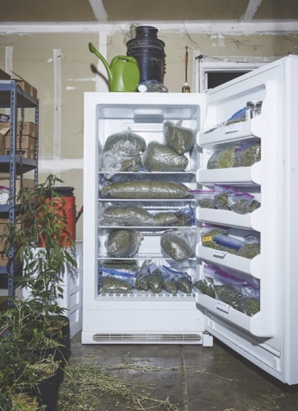 48 Weird Things Our Roommates Left in the Fridge