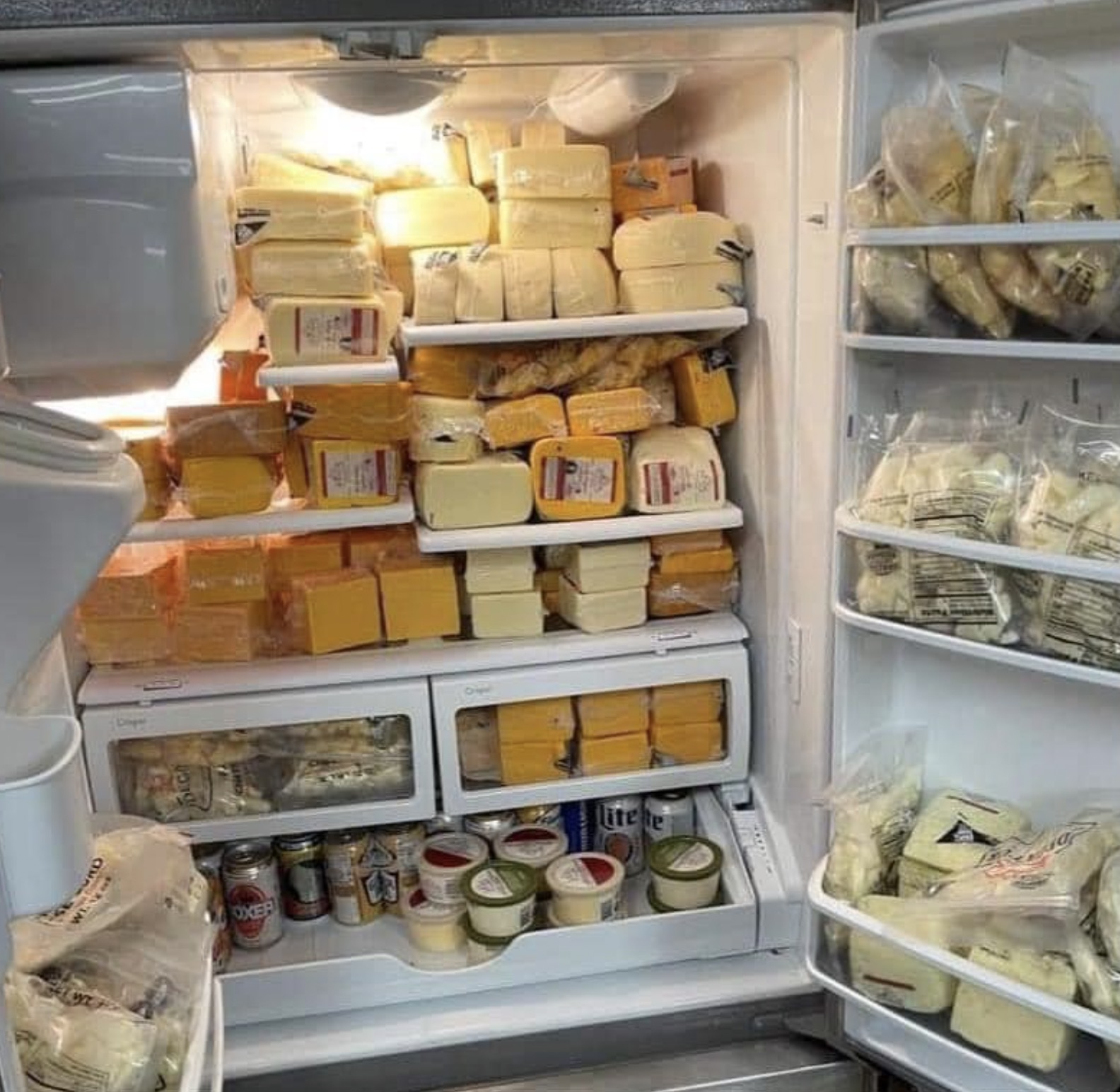 cheese fridge meme - lite